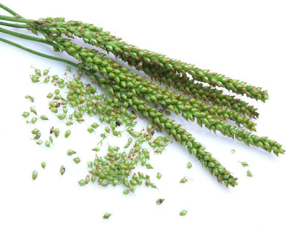 ���֧ާ֧ߧ� ���է���اߧڧܧ�