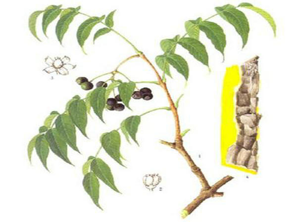 ������ ��֧ݧݧ�է֧ߧէ��