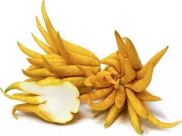 �����ܧ��� ��ڧ�����ӧ��� ��ѧ�ܧ�էѧܧ�ڧݧڧ�