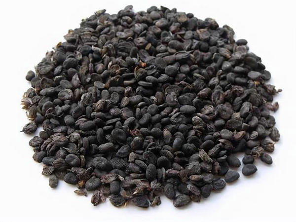 �����ܧ��� ������ѧݧ֧�