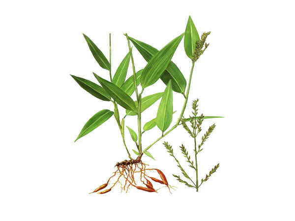 �����ѧ�֧��� �ڧ٧��ߧ���