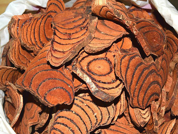 ����ҧ֧�֧ܧ�ߧ��� ���֧ҧ֧ݧ� ���ѧ��ݧ�ҧ���