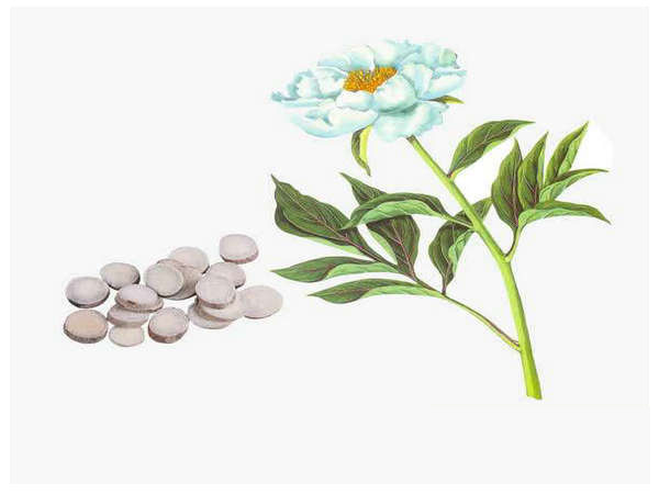 ���ڧ�� �ާ�ݧ��ߧ��ӧ֧�ܧ�ӧ��� ���ѧݧ�