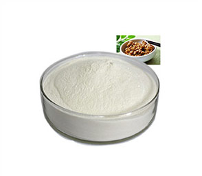 ���ѧ��� ���������