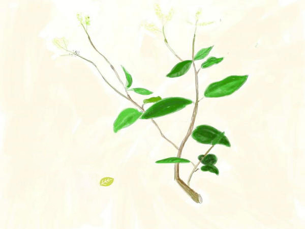 �ҧݧ֧����ڧ� ��ݧ�է� �ҧڧ���ڧߧ�